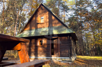 COTTAGE FULL OF OPORTUNITIES - KOVÁČOVÁ