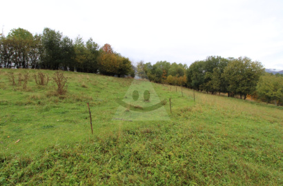 Investment recreational land / 3194 m2 / Terchová