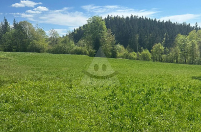 Znížená cena!!! Stavebný pozemok na rekreáciu na predaj, Vysoká nad Kysucou