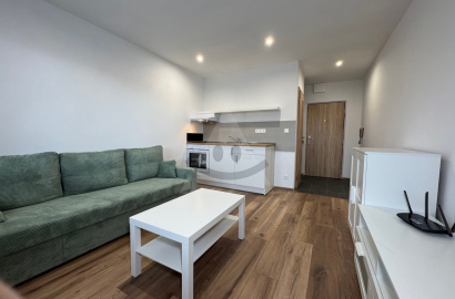 Furnished, newly renovated studio for rent, Za Dráhou