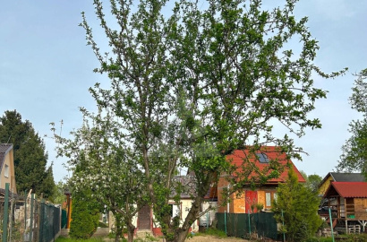 Garden with cottage for sale in Nové Zámky