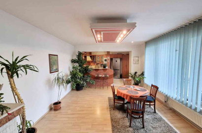 5-room family house in Nová Stráž for sale