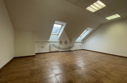 premises for rent directly in the pedestrian zone